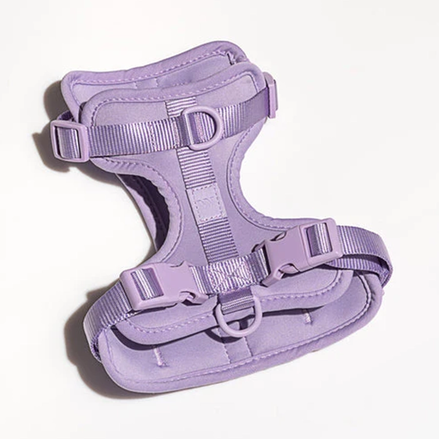 Dog Harness